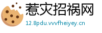惹灾招祸网